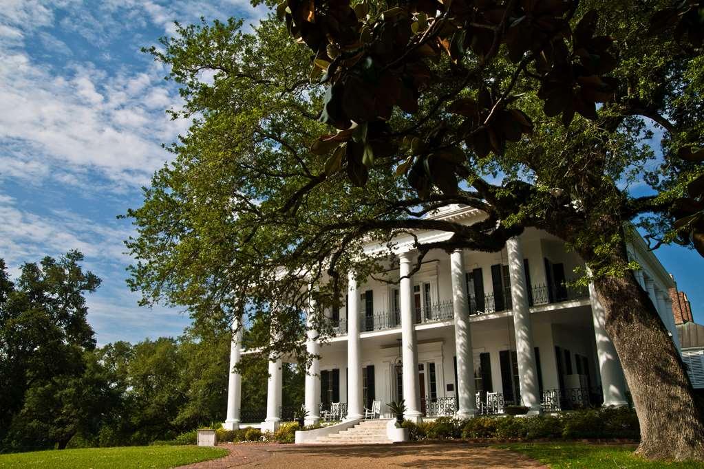 Dunleith Historic Inn นัตเชซ ภายนอก รูปภาพ