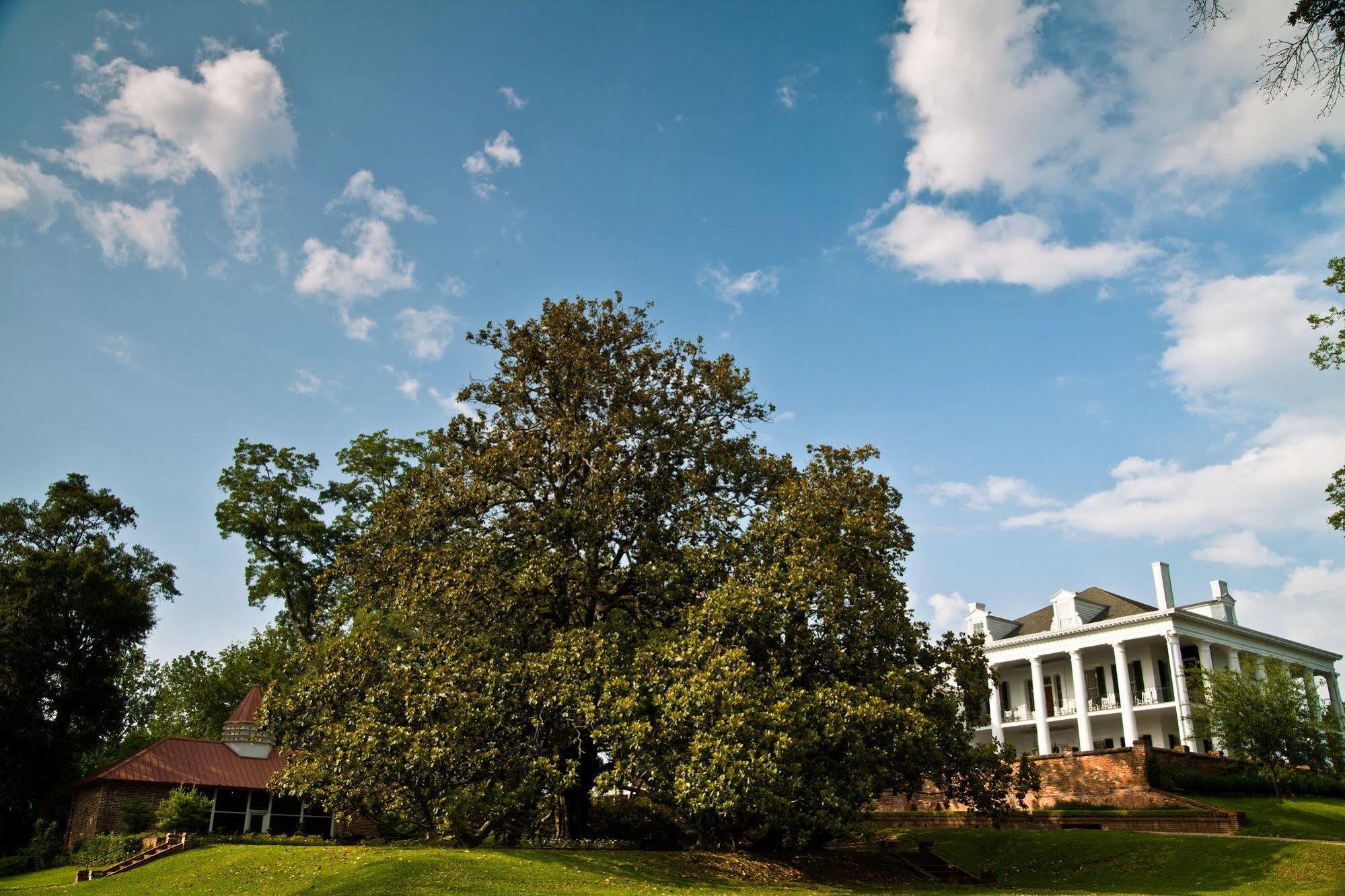 Dunleith Historic Inn นัตเชซ ภายนอก รูปภาพ